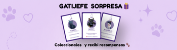 Carta coleccionable Gojo Pets